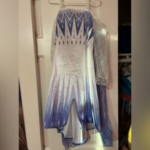 Frozen 2 Elsa costume